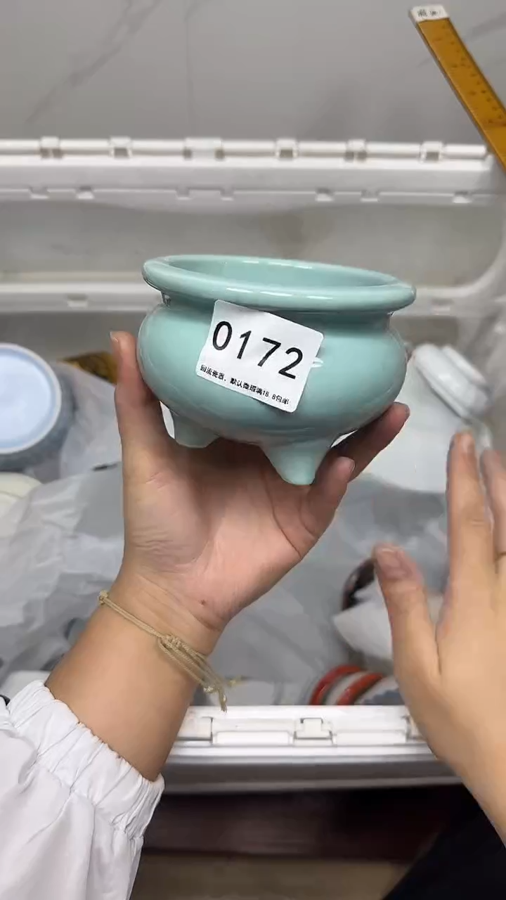【闪购商品】172回流瓷器，默认微瑕18.8包邮