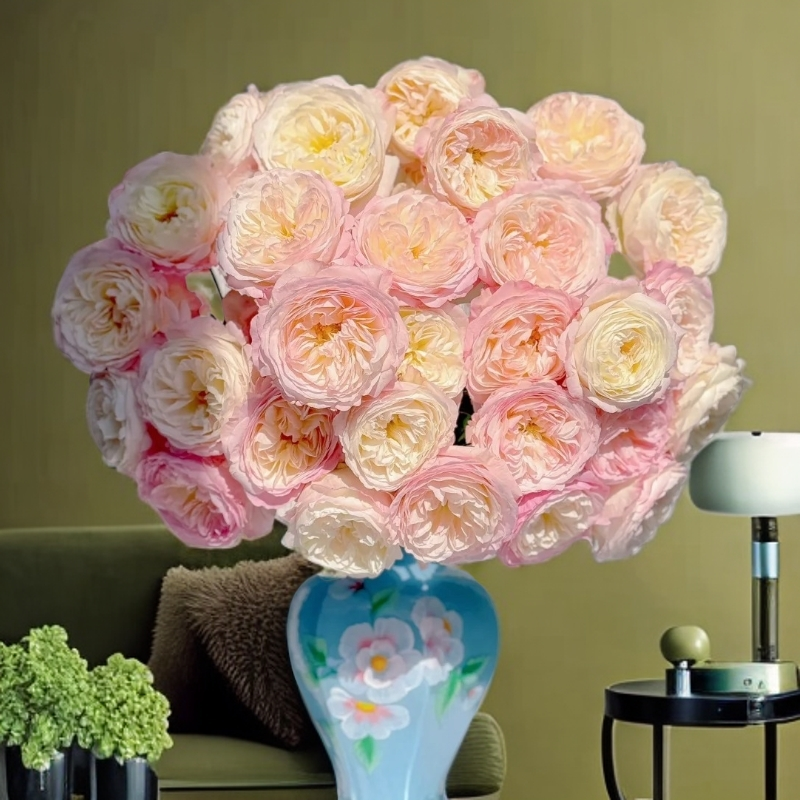 云南木木花卉 凯拉 多头玫瑰鲜切花束家庭氛围感鲜花插花