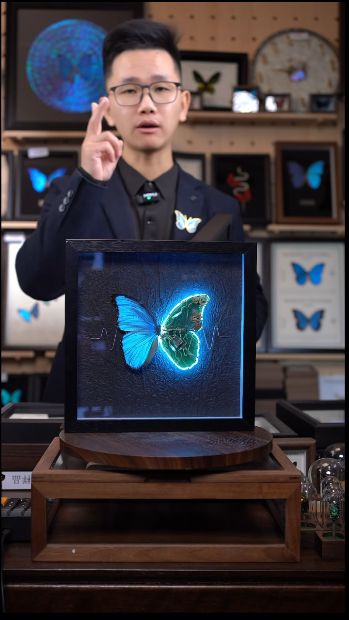 ᭥****࿐大蓝闪蝶标本机械款