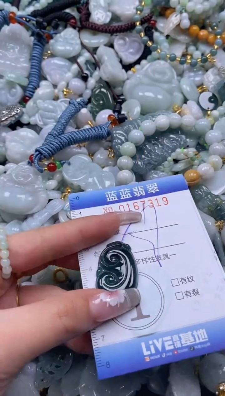 【闪购商品】翡翠颈饰未镶嵌闪购0167319多样性发其一