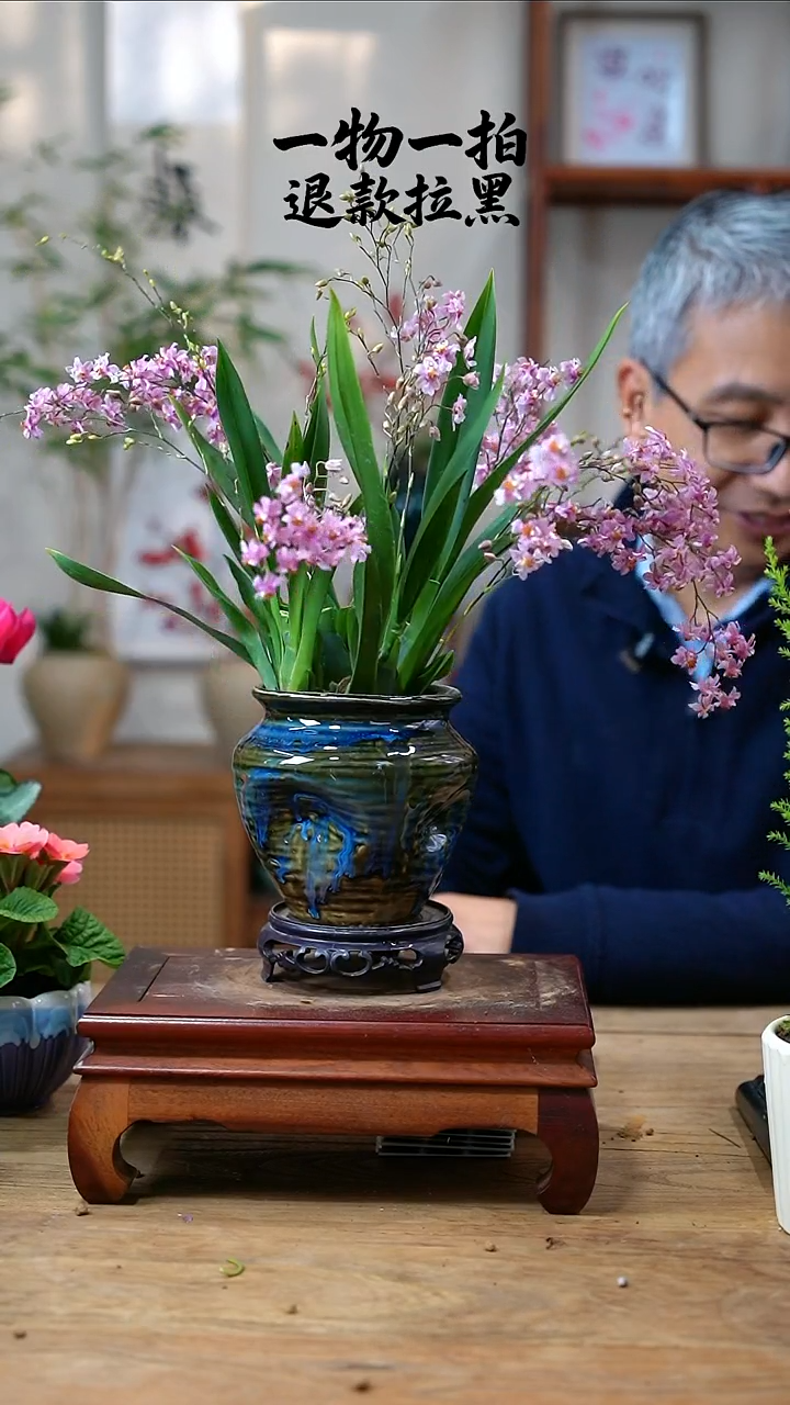 完全开放走**熟文心兰162