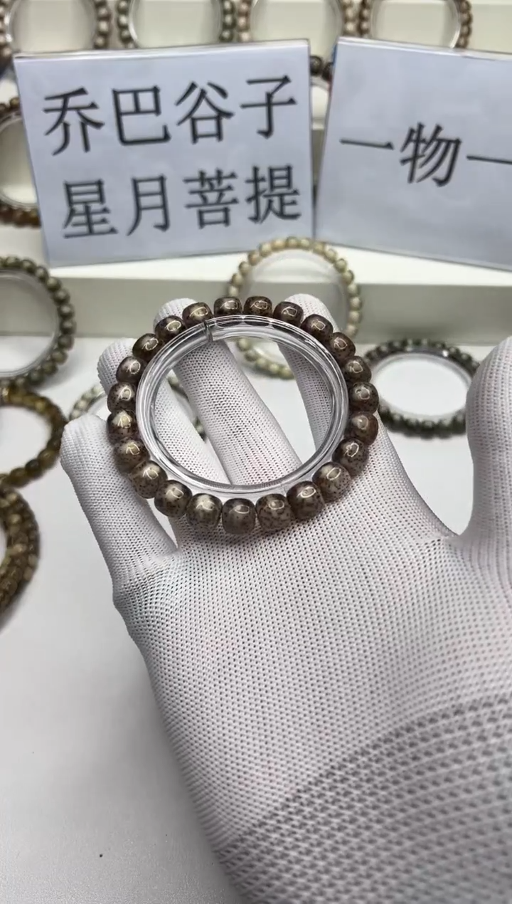 手串星月菩提 100 --12