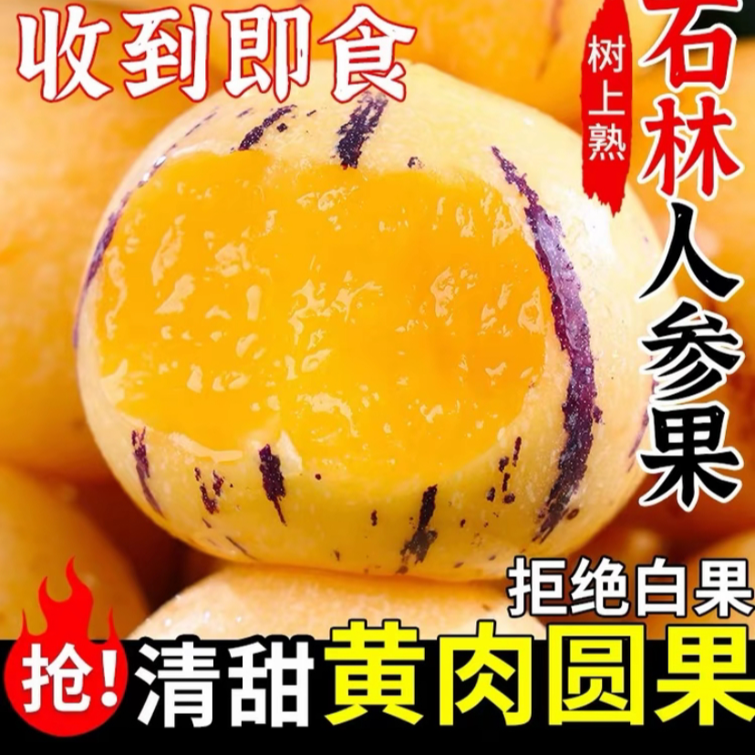 正宗云南石林人参果树上熟黄皮黄肉圆果清甜多汁新鲜应季水果