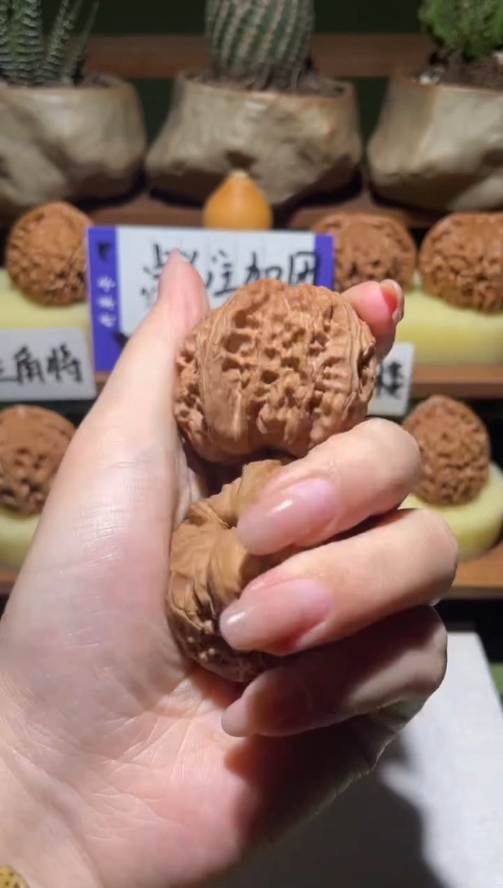 把件文玩核桃到****?满天星