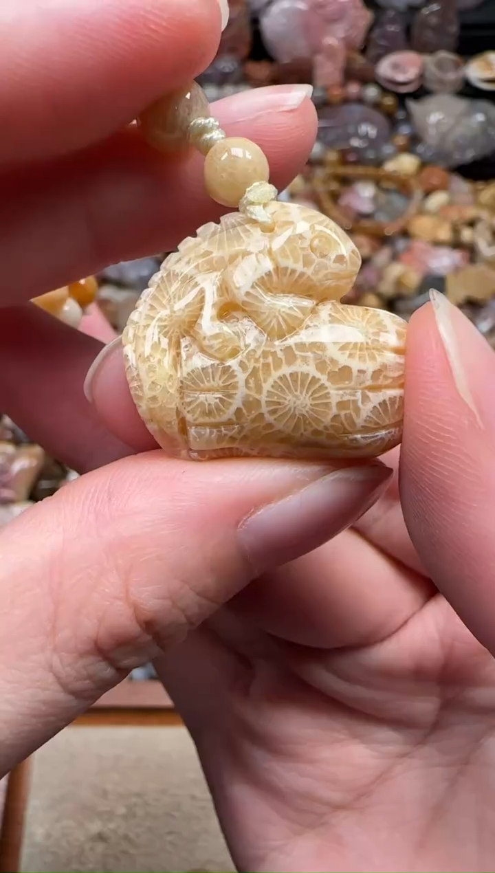颈饰未镶嵌硅化珊瑚（珊瑚玉）605