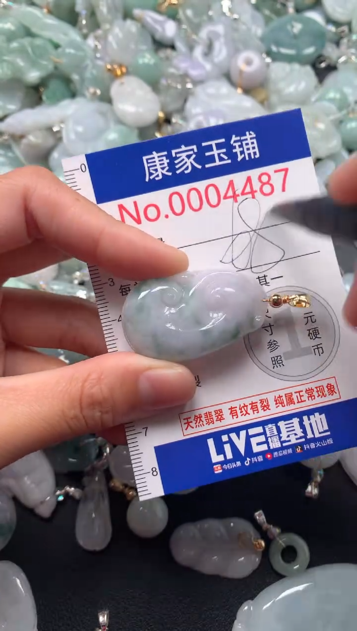 颈饰未镶嵌翡翠4487