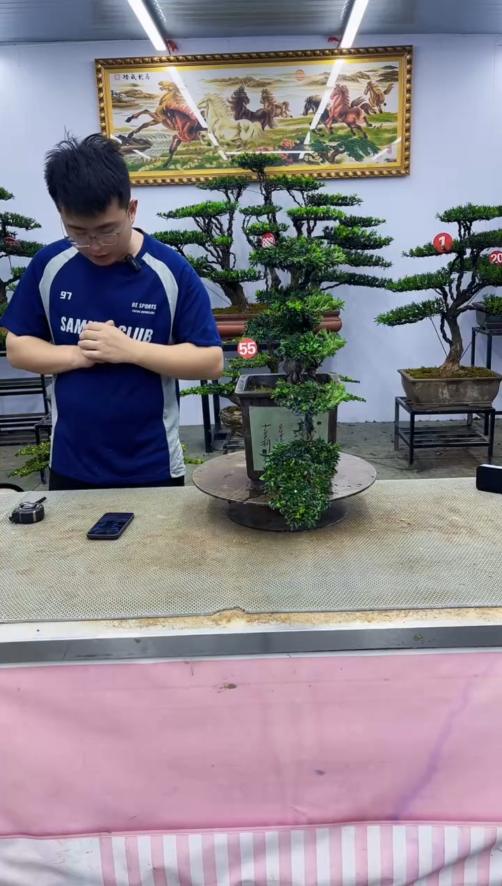 无花朵一物一拍，所见即所得