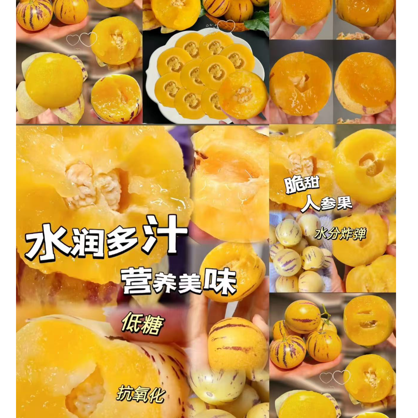 【达吾水果】水果界的灌汤包·云南人参果