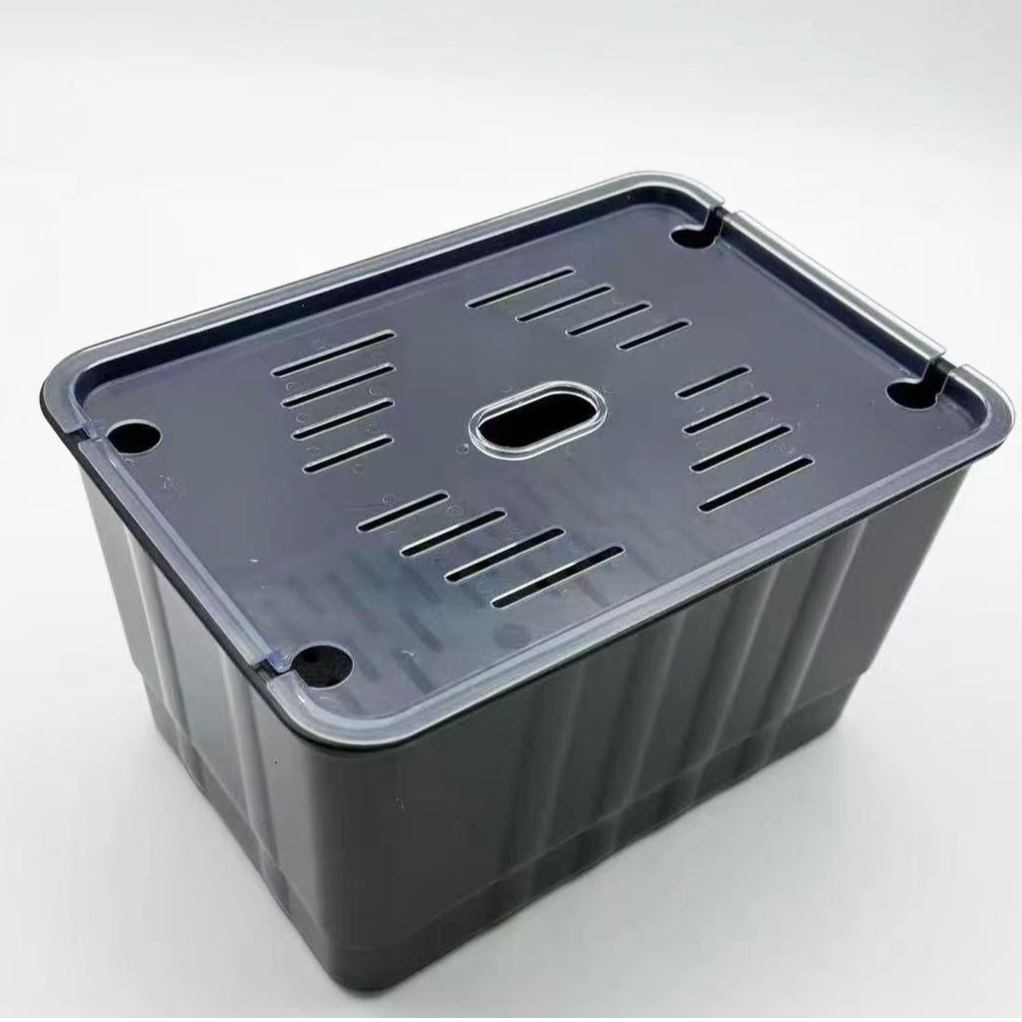 新手饲养盒 长26宽18高15 小龙诚心推荐