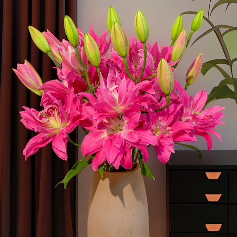 云南木木花卉 紫莲 重瓣百合花 雅致淡香型水养鲜切瓶插鲜花