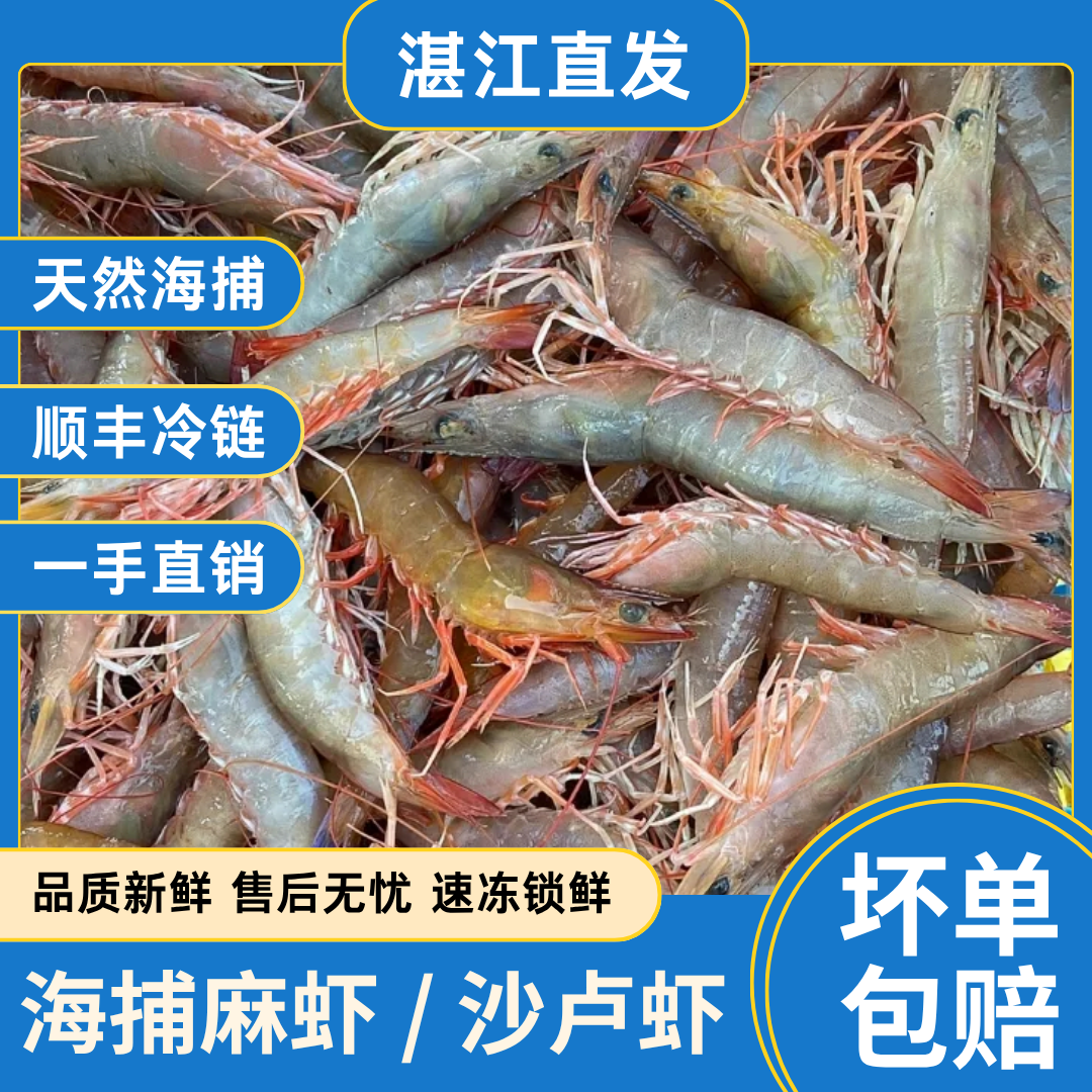 1【湛江发货锁鲜发货】海捕 麻虾 沙卢虾 Q弹可口 顺丰冷链 3斤装