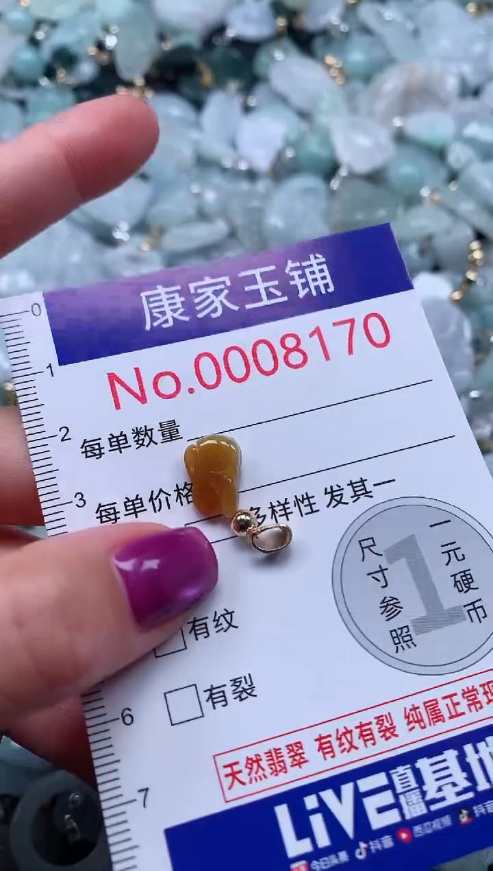 颈饰未镶嵌翡翠8170