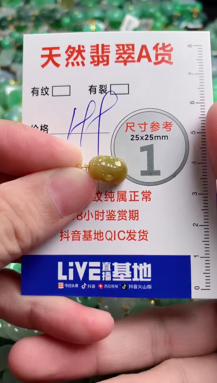 翡翠18K金镶嵌颈饰0247218716