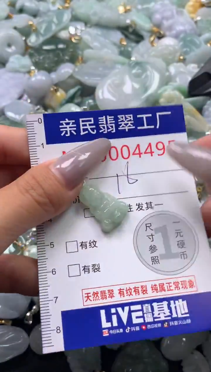 颈饰未镶嵌翡翠4495