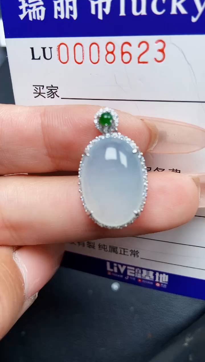 【闪购商品】翡翠颈饰银S925镶嵌8623
