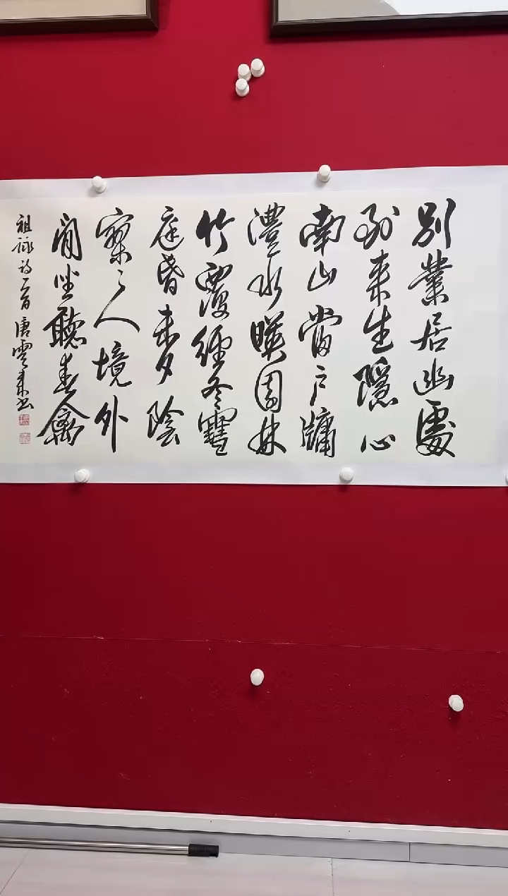 书法TYL 08 书法 别---