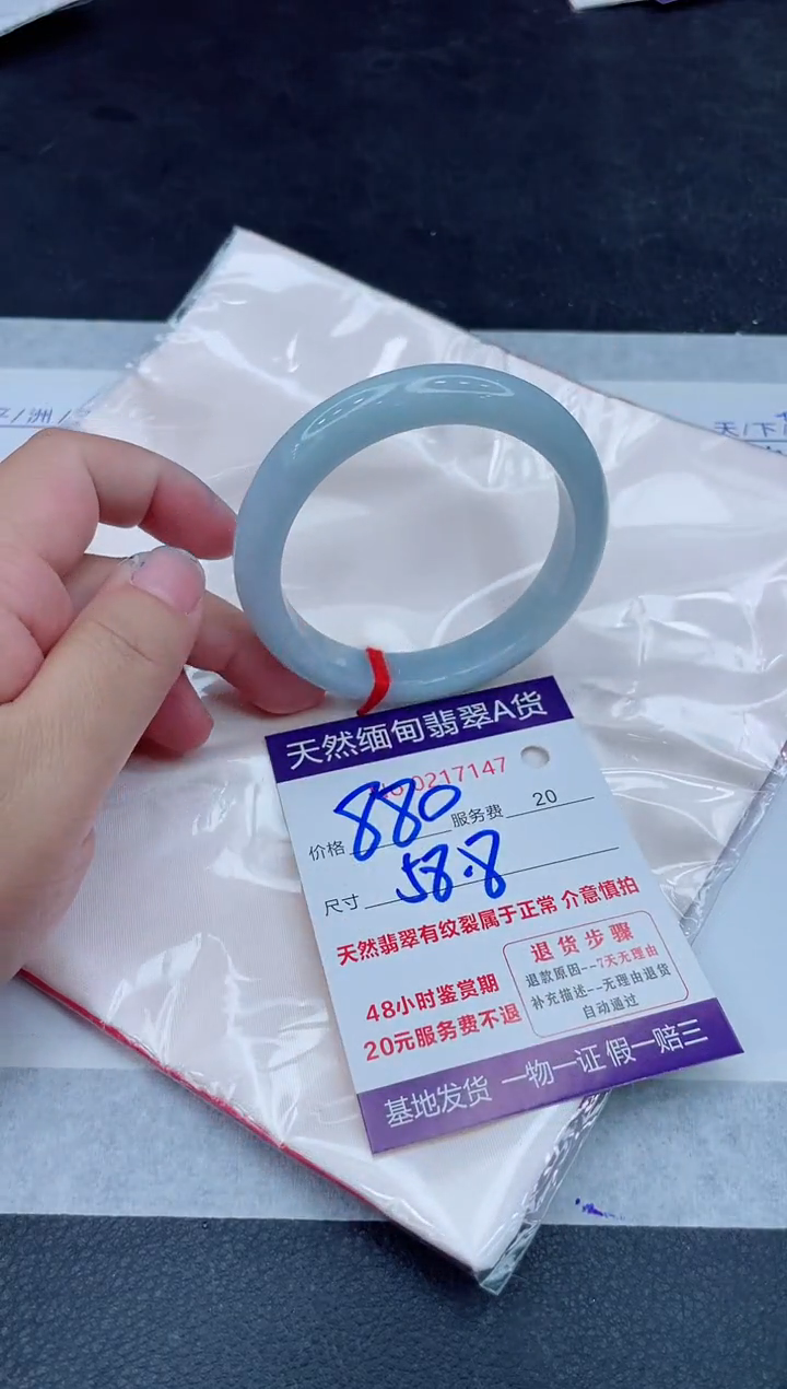 未镶嵌手镯翡翠880.00000