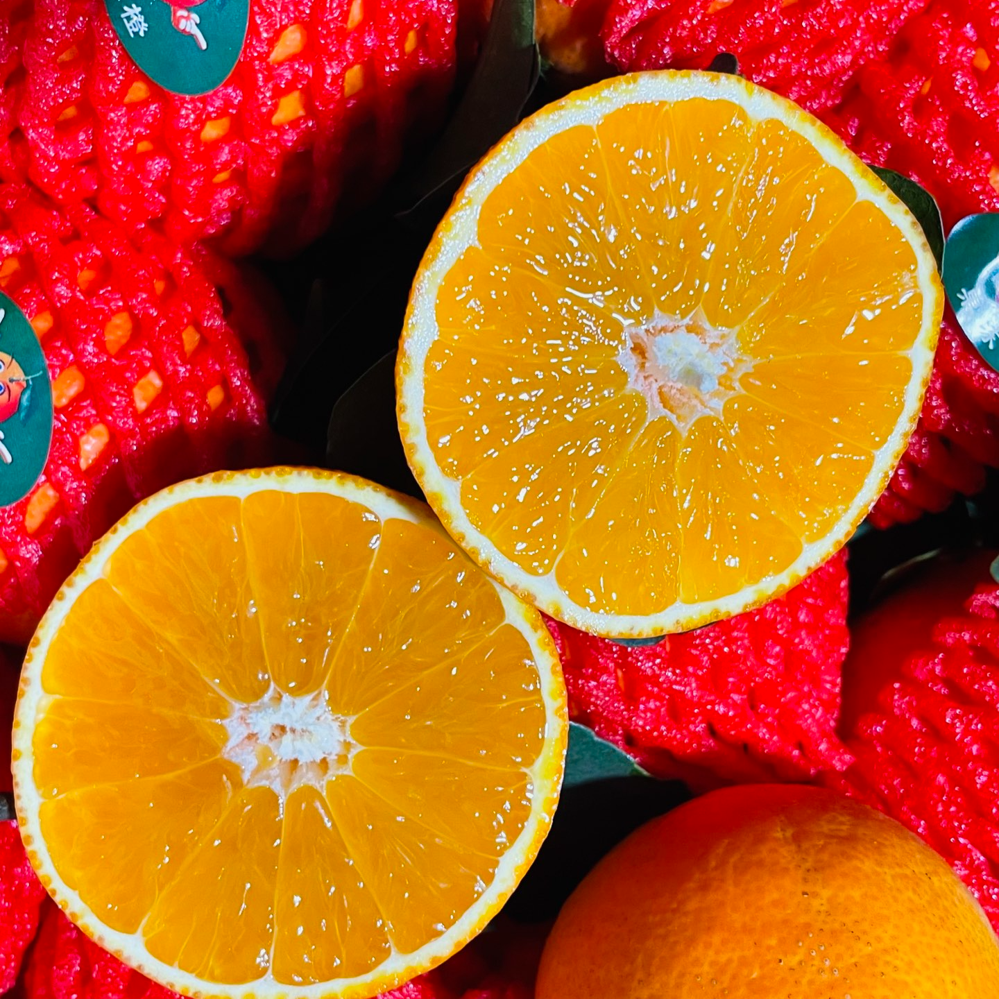 【四川爱媛果冻橙小果分装】四川省