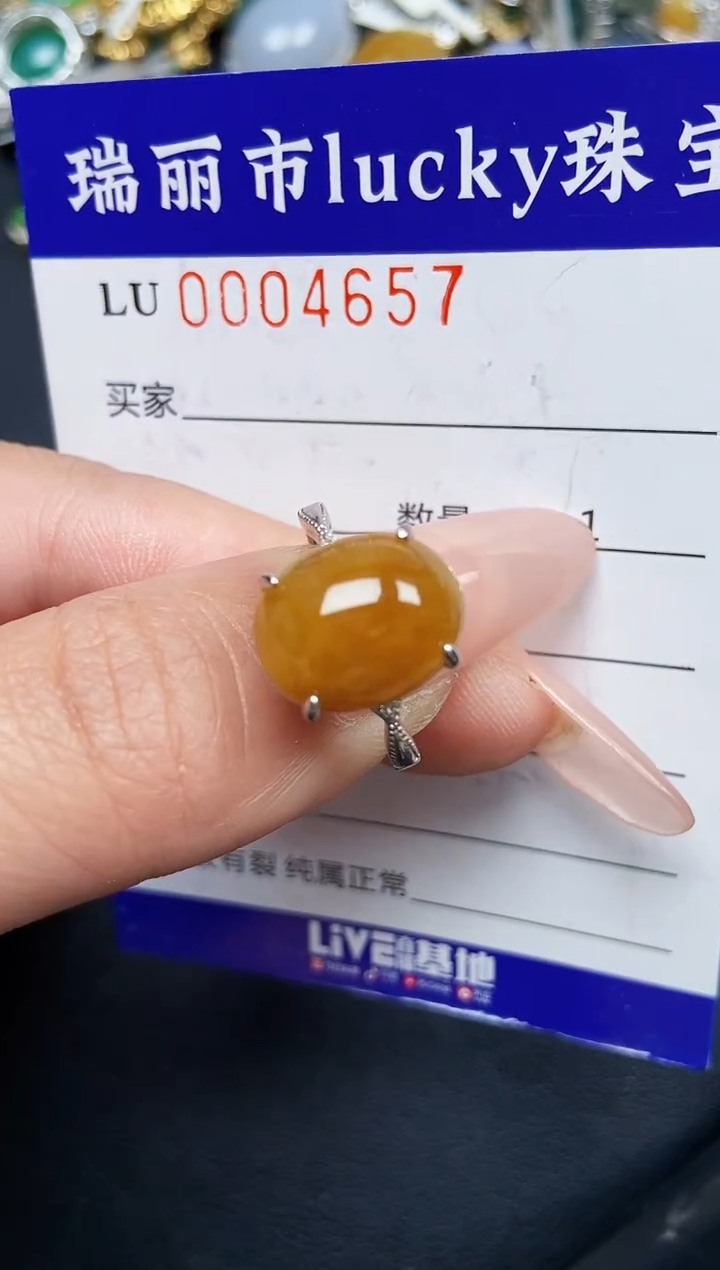 【闪购商品】翡翠颈饰银S925镶嵌4657
