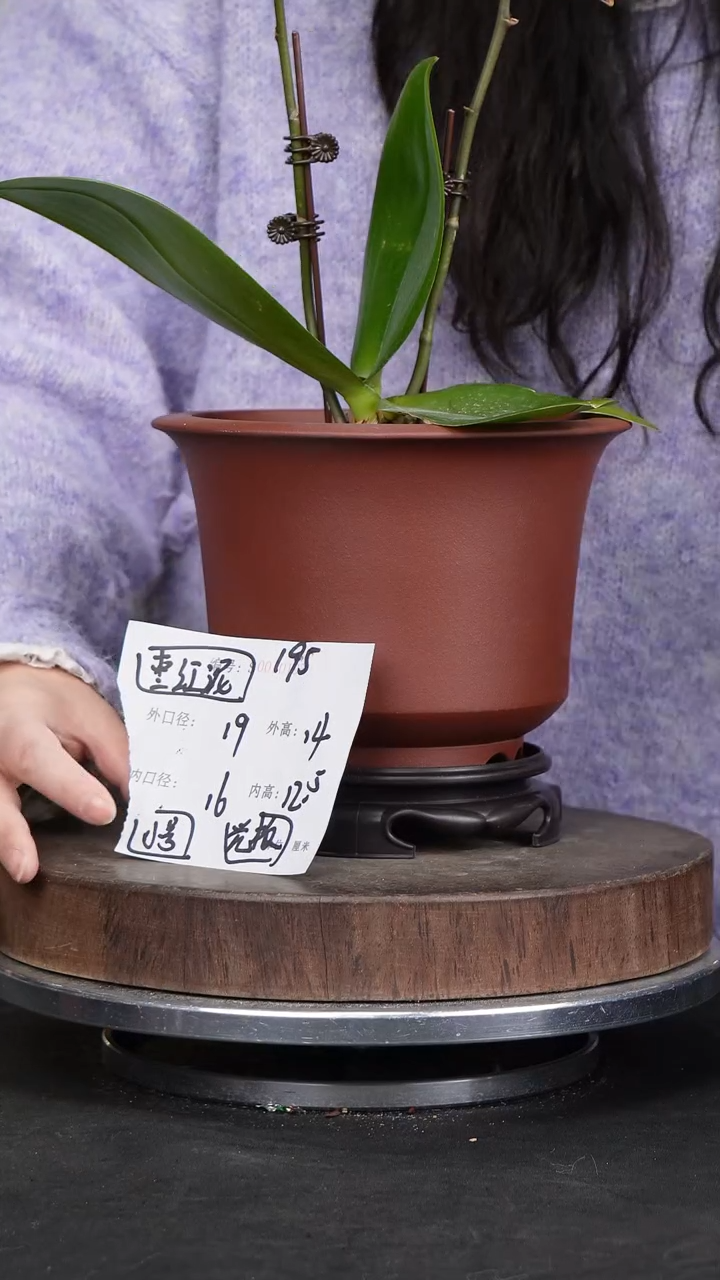 【闪购商品】紫砂花盆195+s&紫砂花盆