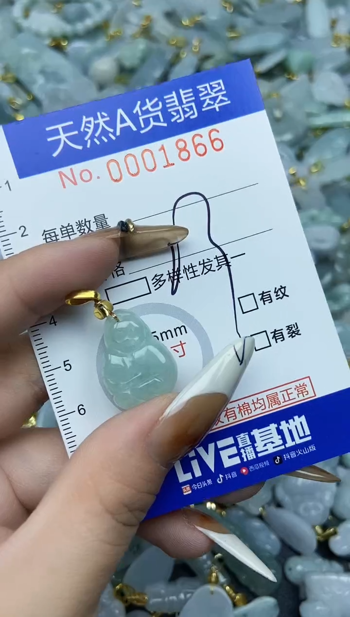【闪购商品】翡翠颈饰未镶嵌天然A货翡翠