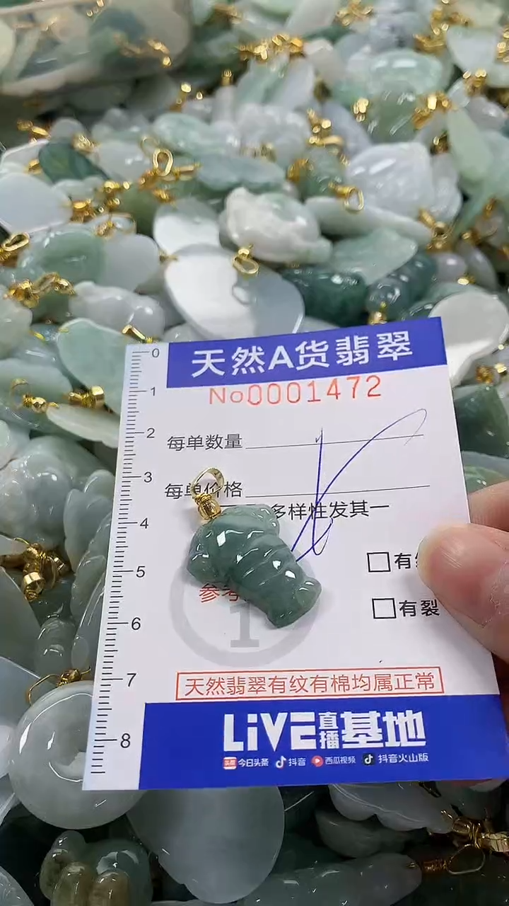 颈饰未镶嵌翡翠纯天然a货翡翠