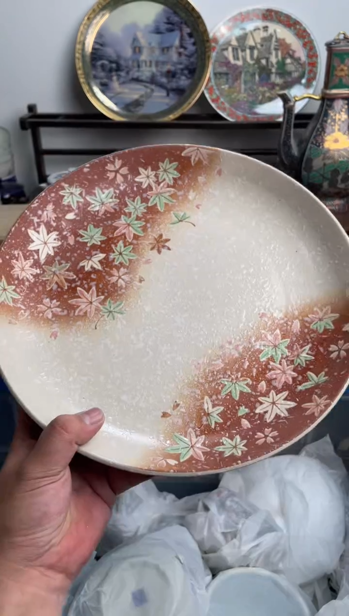 【闪购商品】瓷片230-T-满20包邮48h凑单