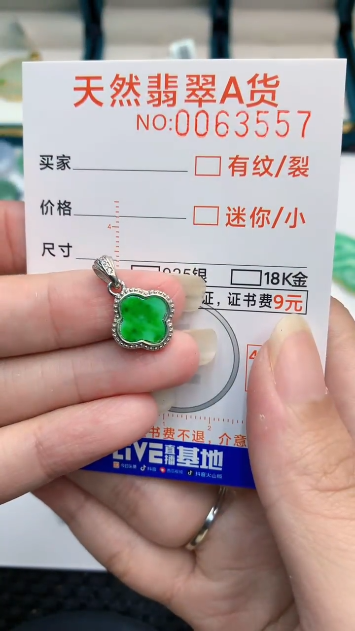 【闪购商品】翡翠颈饰银S925镶嵌            8