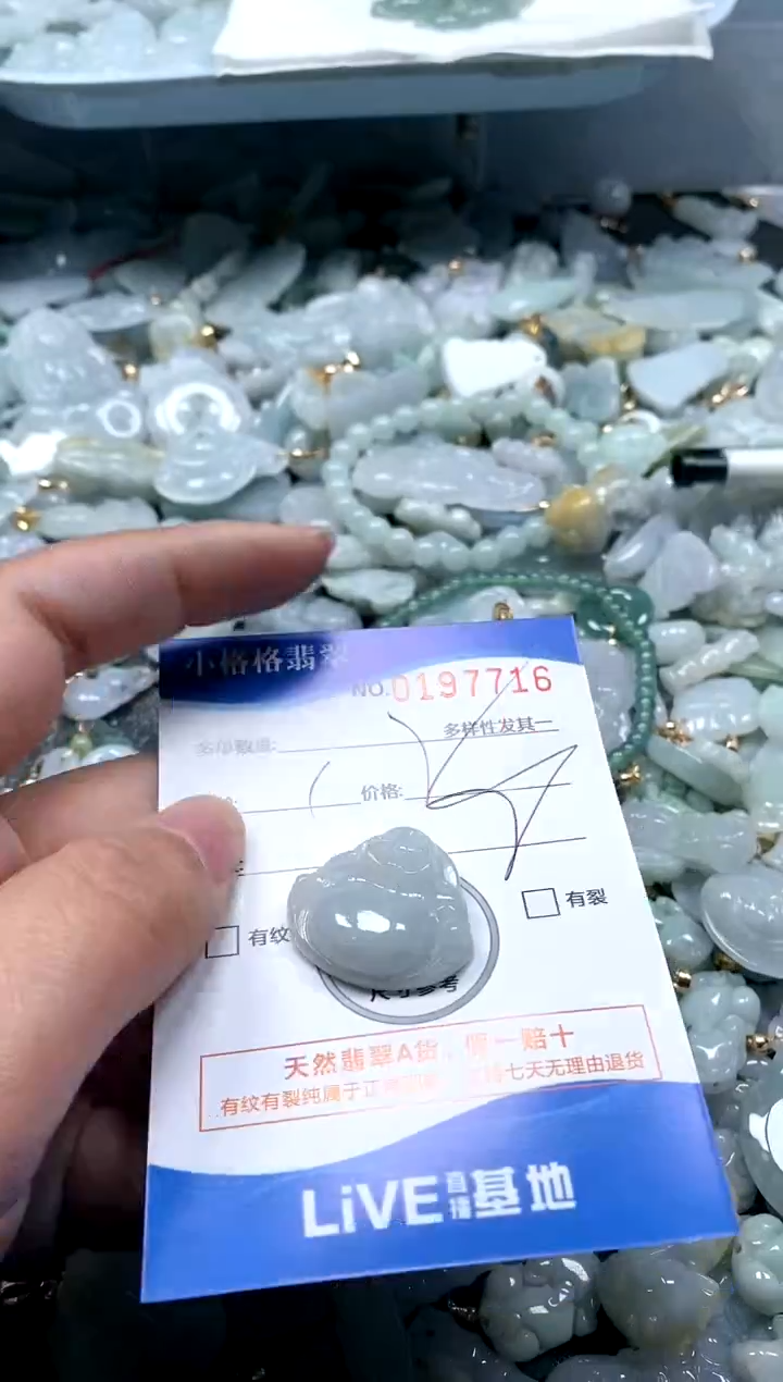 【闪购商品】翡翠颈饰未镶嵌闪购商品0197716