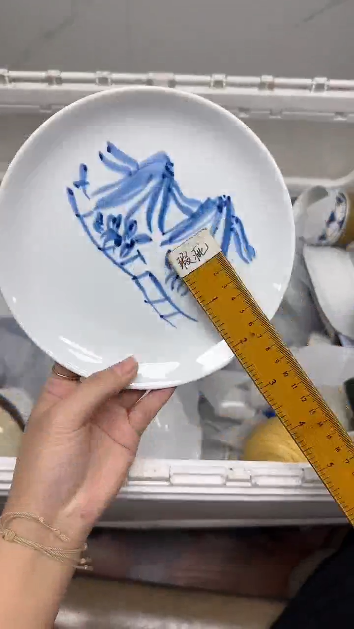 【闪购商品】669回流瓷器默认微瑕，18.8包邮