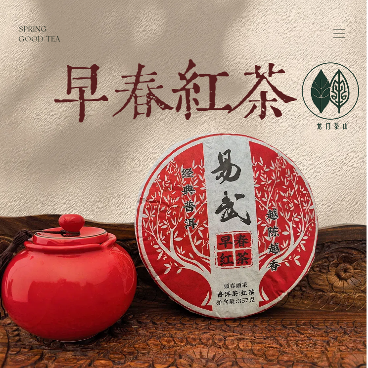 早春人工熟成普普洱茶汤透亮醇厚顺滑花香耐泡红茶
