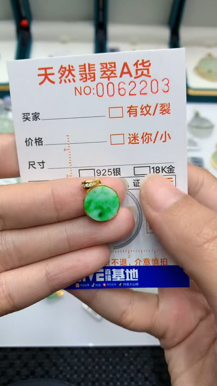 【闪购商品】翡翠颈饰银S925镶嵌            8
