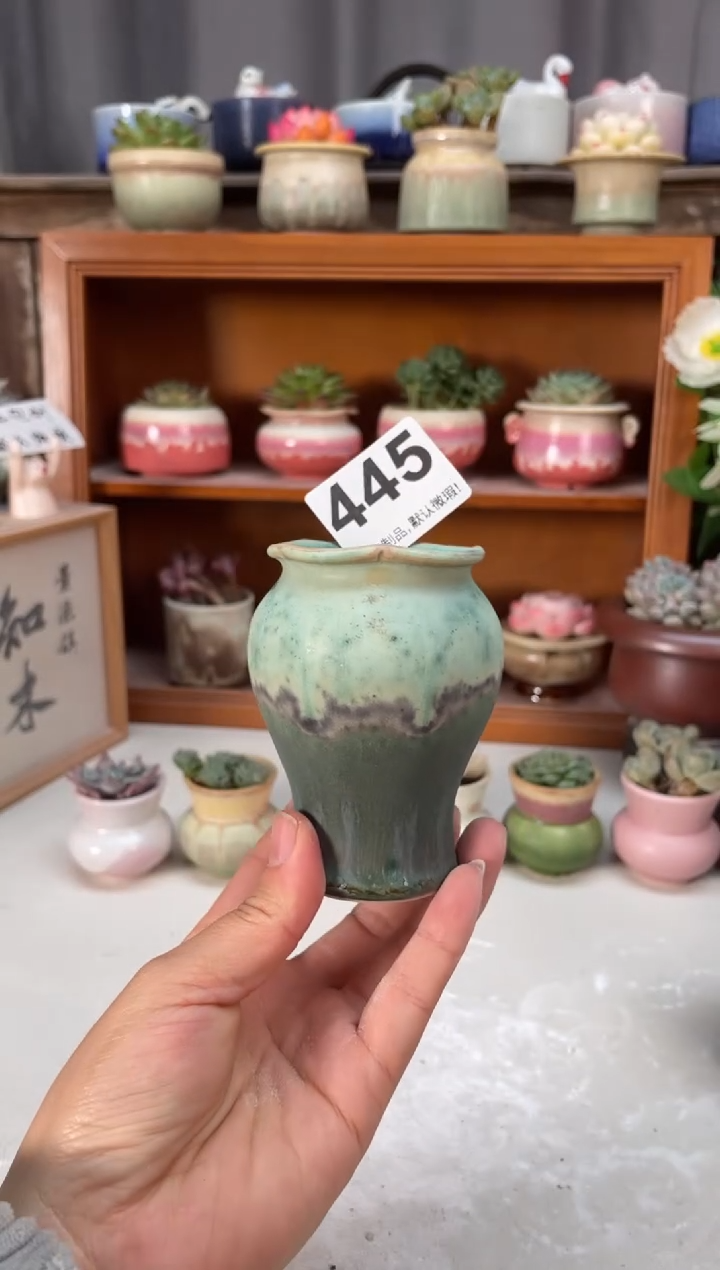 瓷片445.小芳直播编号