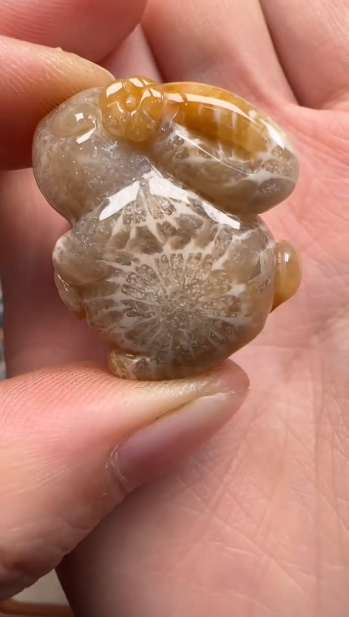 【闪购商品】硅化珊瑚（珊瑚玉）颈饰未镶嵌052