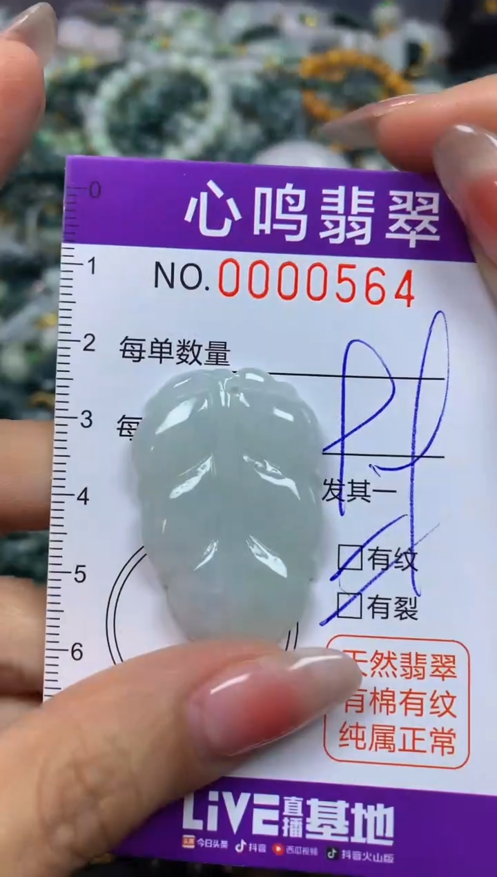 【闪购商品】翡翠颈饰未镶嵌闪购00564