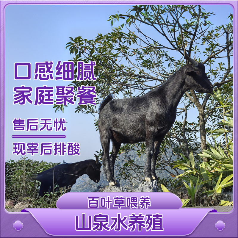 广西马山黑山羊【直播间称重改价】新鲜原生态肉质下单美味