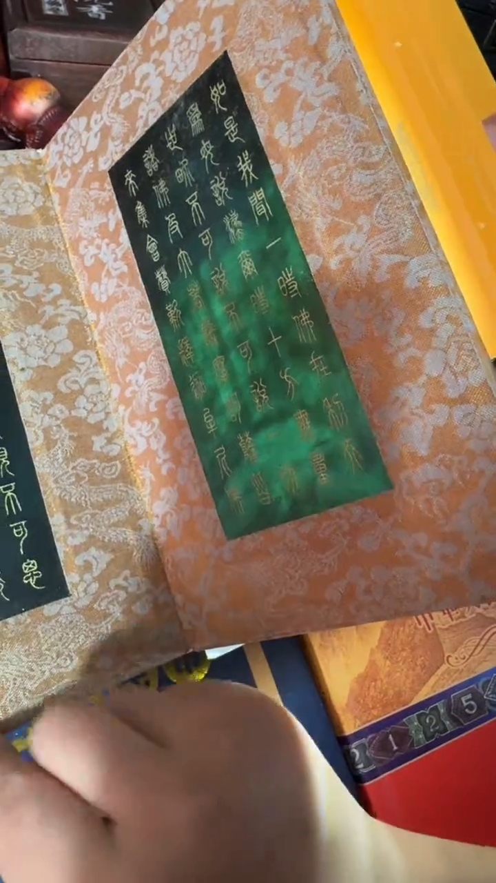【闪购商品】贝壳摆件撤店清仓好物分享