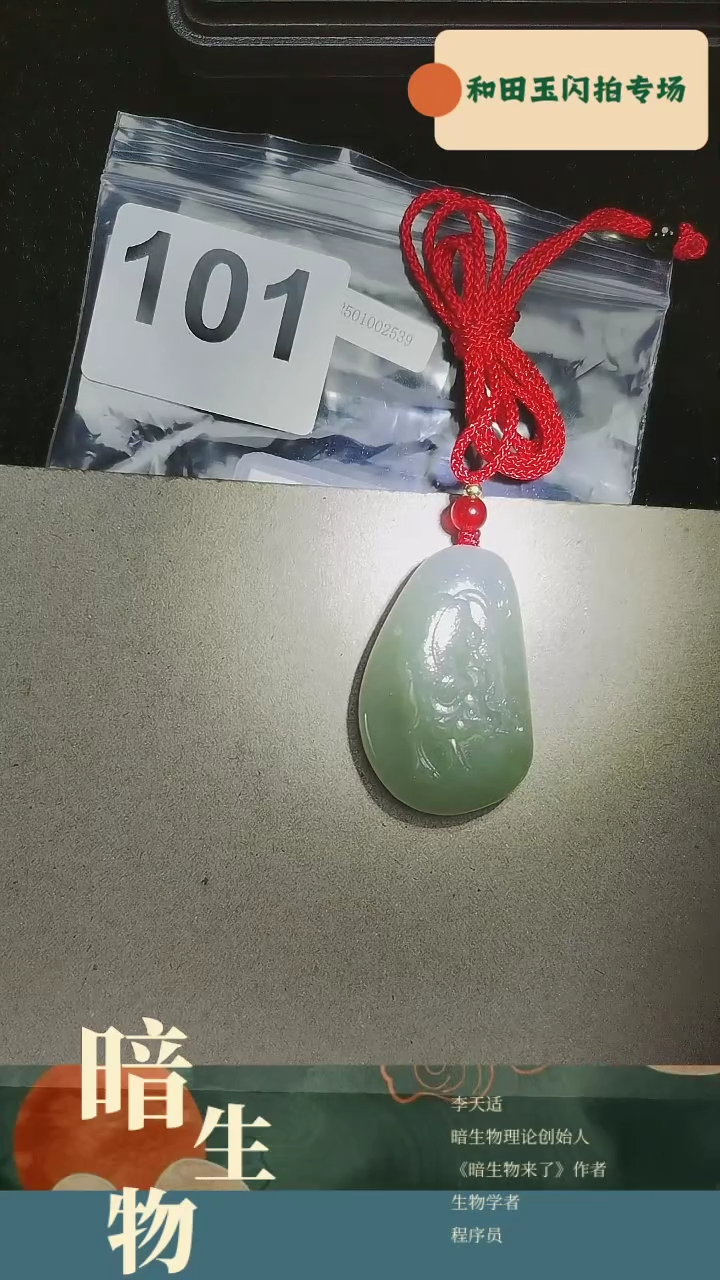 【闪购商品】和田玉吊坠(赠链)未镶嵌101
