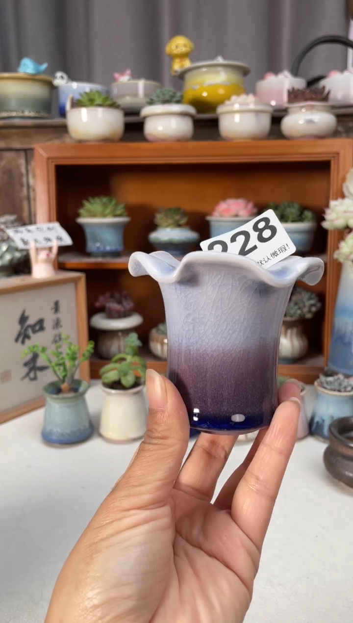 瓷片228小芳直播编号