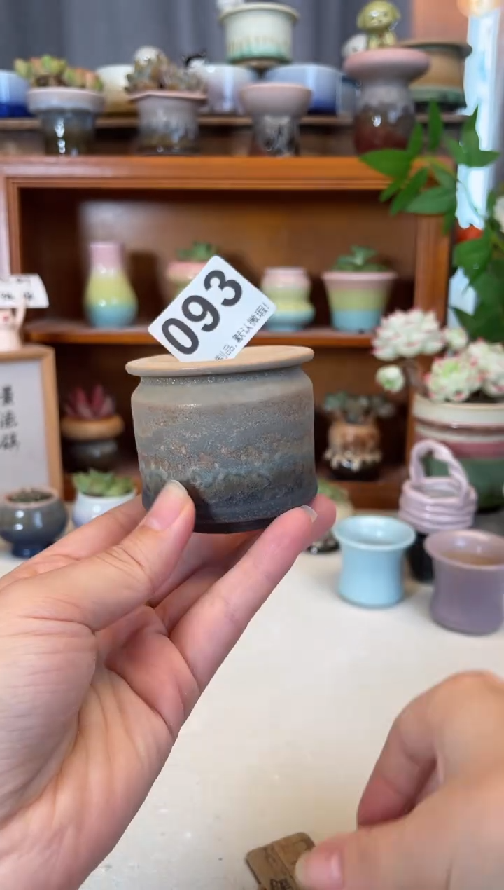 瓷片093知木小芳花盆