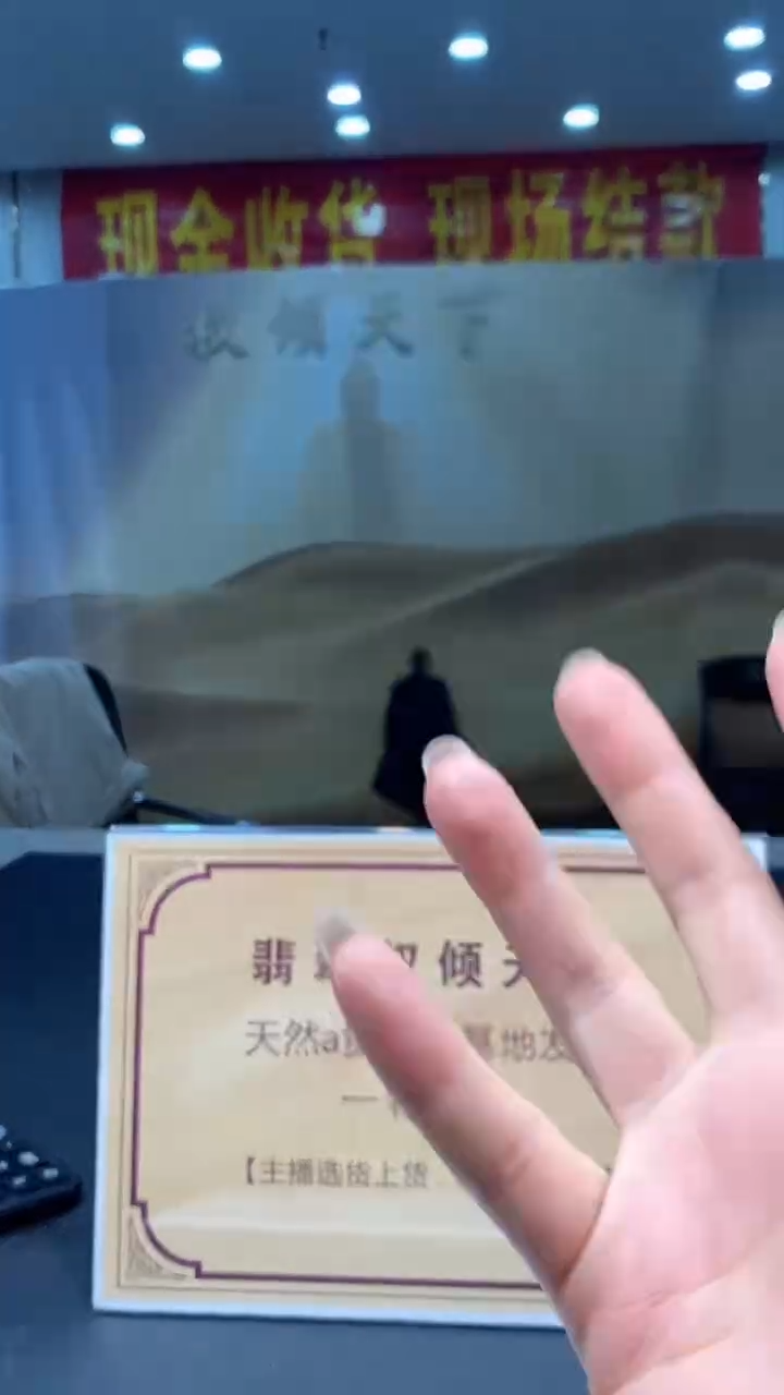 翡翠未镶嵌颈饰********2