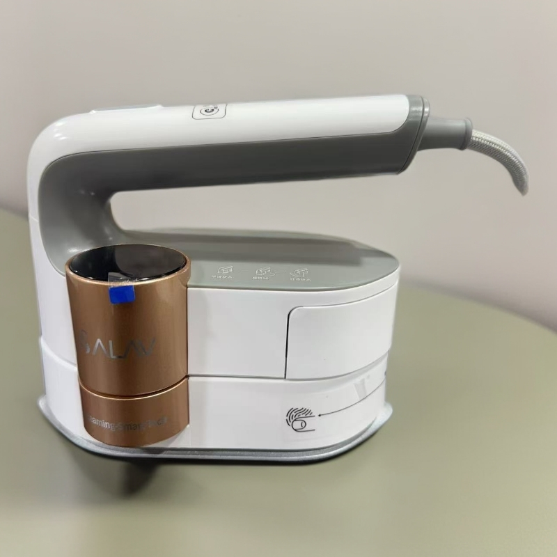 手持蒸汽熨烫机 