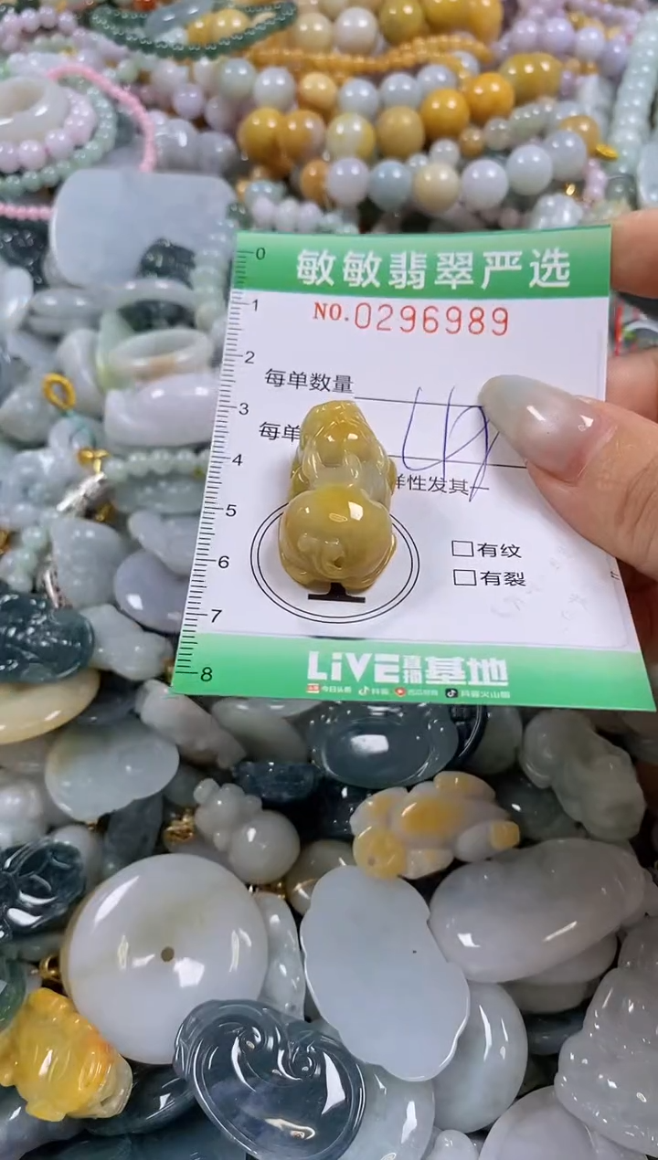 翡翠未镶嵌颈饰闪购0296989