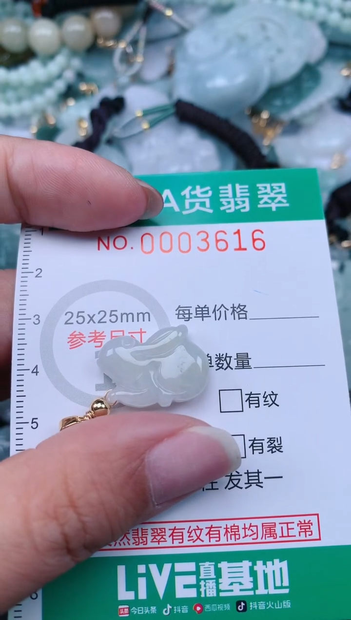 翡翠未镶嵌颈饰.0003616