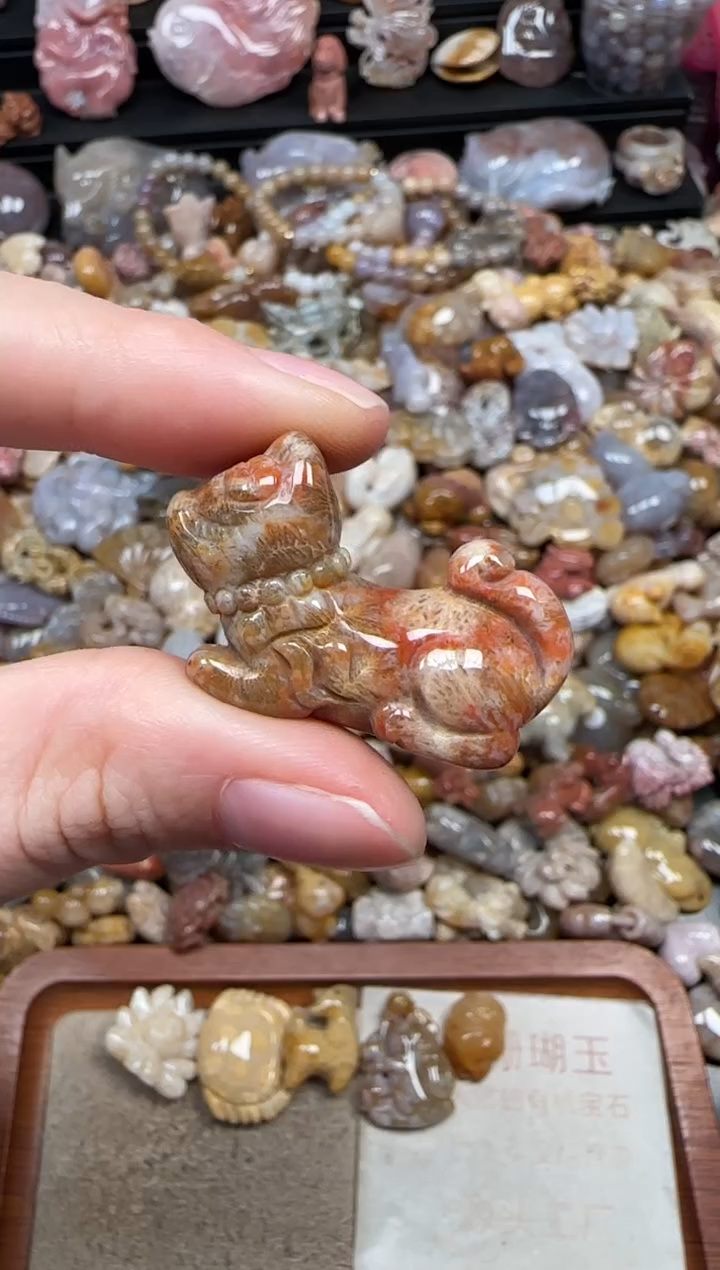 颈饰未镶嵌硅化珊瑚（珊瑚玉）692