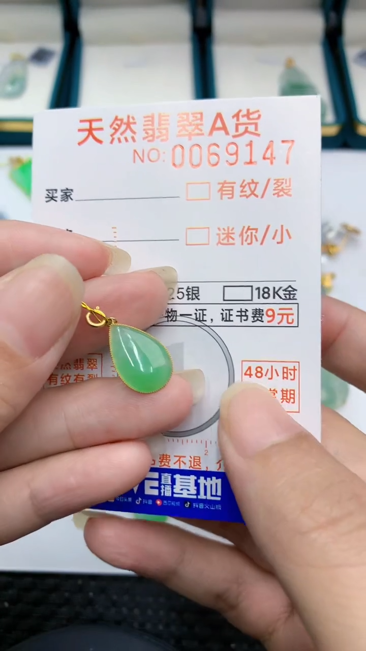 【闪购商品】翡翠颈饰18K金镶嵌            8