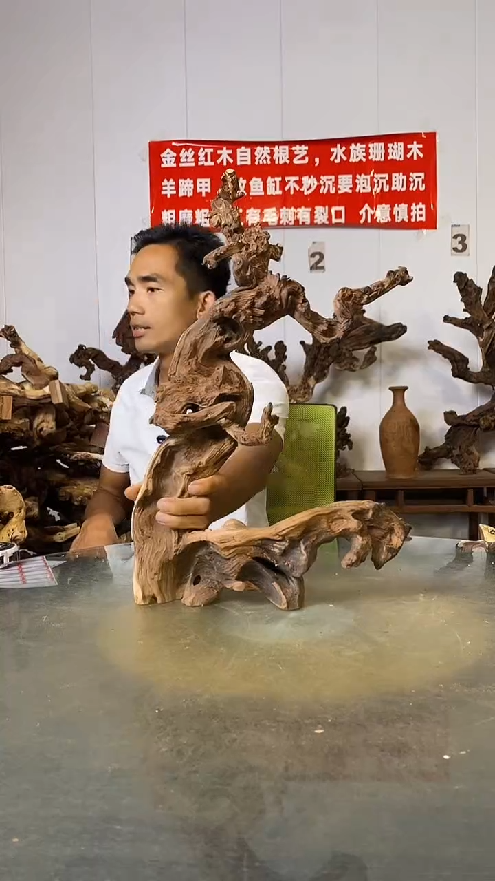 香榧木用**苦金丝红木   羊蹄甲