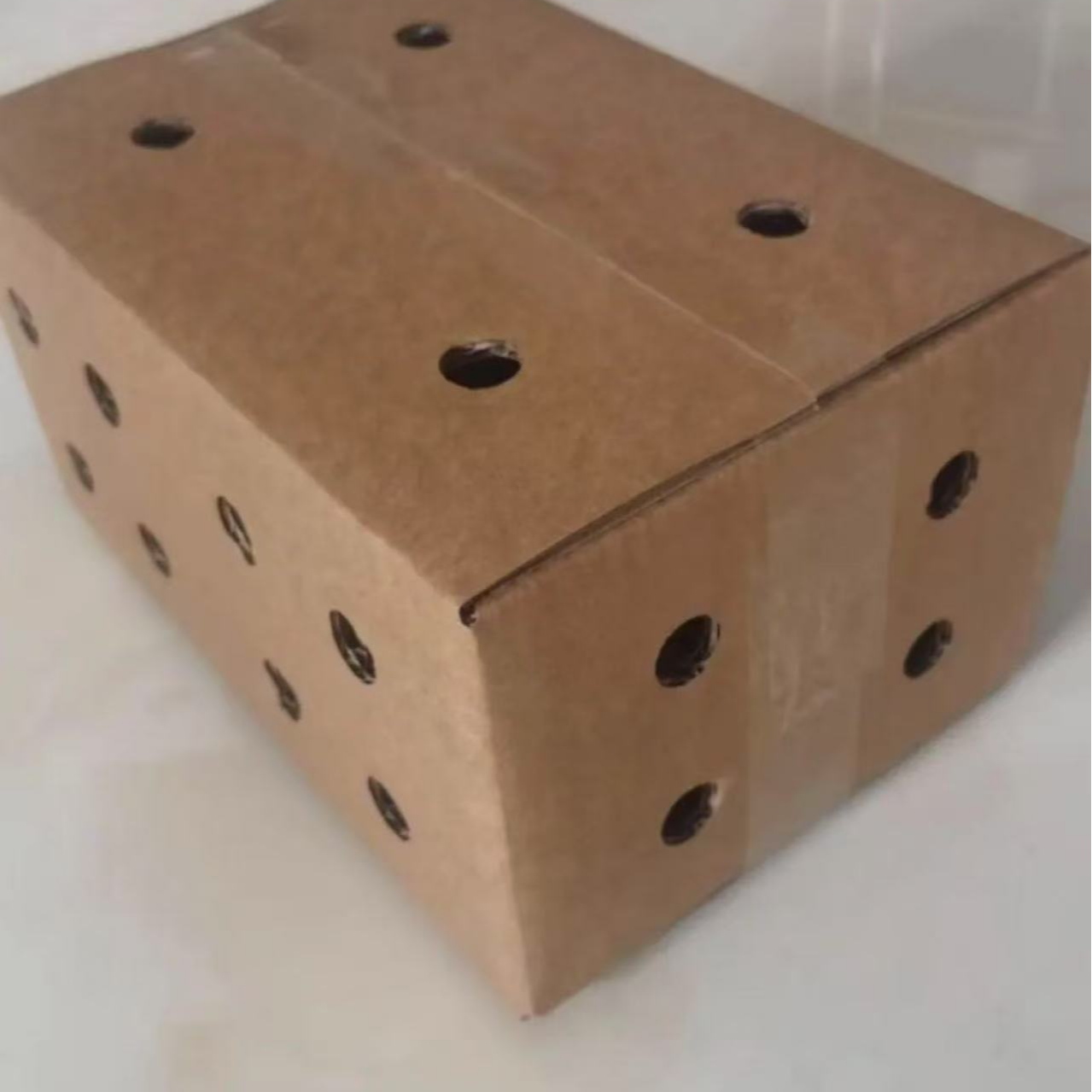 顺丰包邮（九斤红）保温运输箱