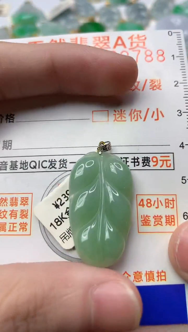 【闪购商品】翡翠颈饰18K金镶嵌2.............