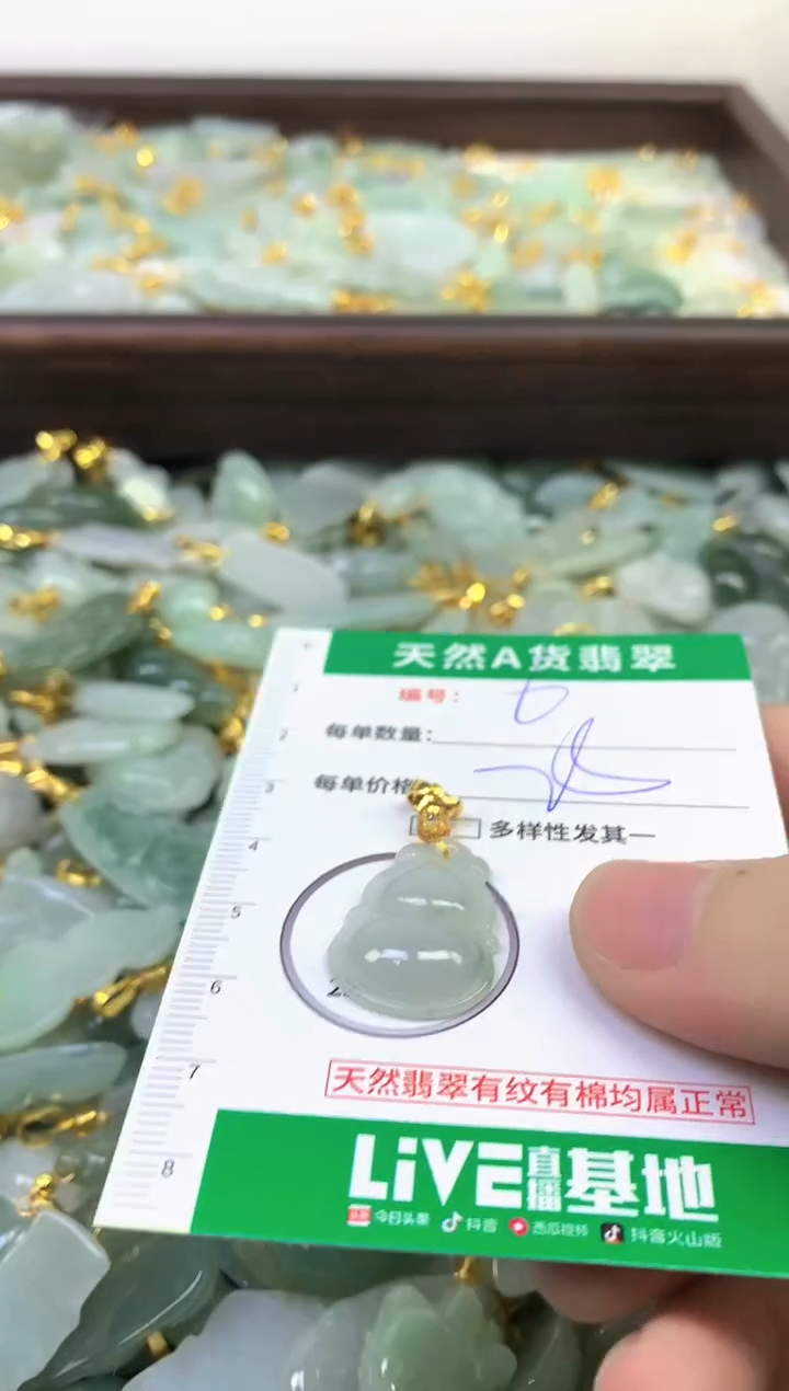 颈饰未镶嵌翡翠纯天然缅甸A货翡翠